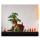 LEGO Ideas 21326 Kubuś Puchatek - 1022226 - zdjęcie 4